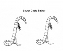 Sathar Lower Caste